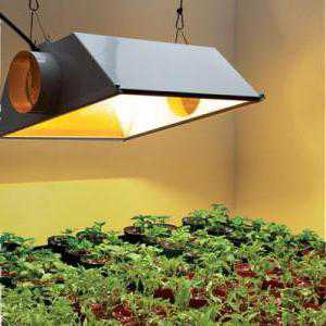 Двухцветная фитолампа с линзами используется как лампа для роста растений в условиях недостаточного или полного отсутствия солнечного света